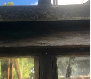 Exterior   Worse Shape