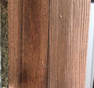 Interior   Better One