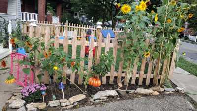 fence