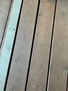 IMG 4942 (1)